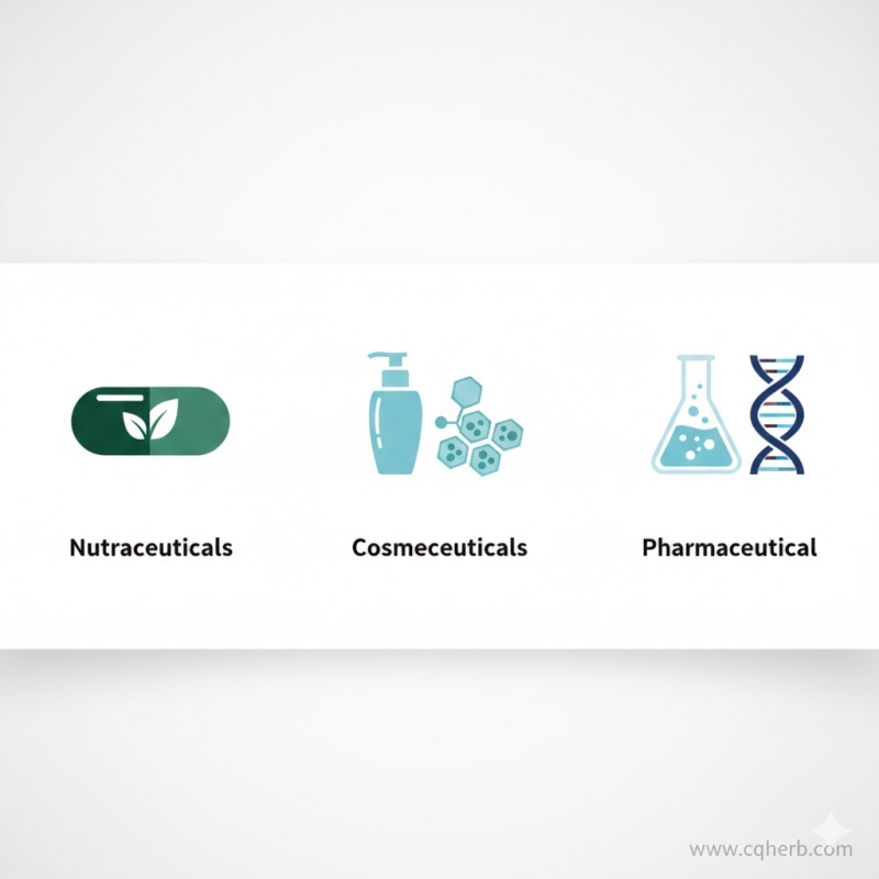 Cycloastragenol Powder 98% Manufacturer